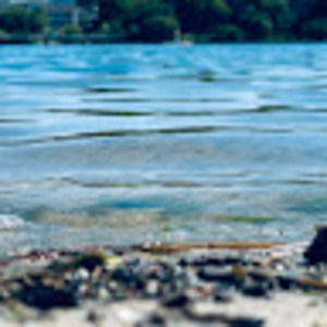 Meet your Posher, Sofia